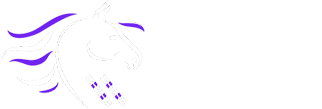  Pony Run Run 
